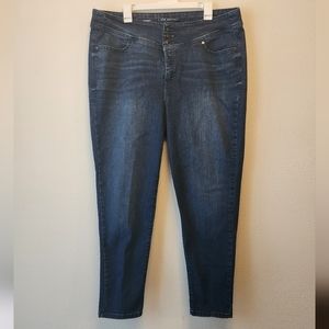 Lane Bryant Skinny Jeans Size 20